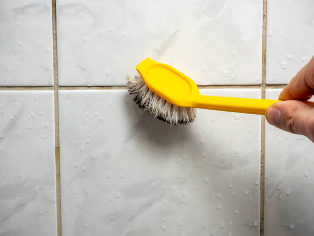 Best Best Mold Removal Companies  in Greenland, AR