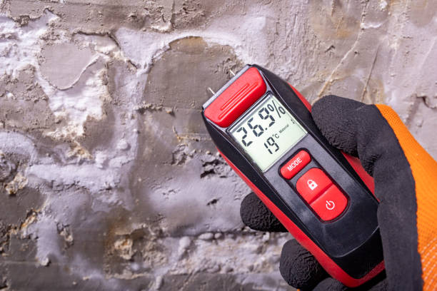 Mold Removal Process in Greenland, AR