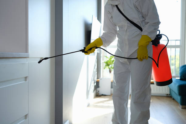 Mold Testing and Removal in Greenland, AR