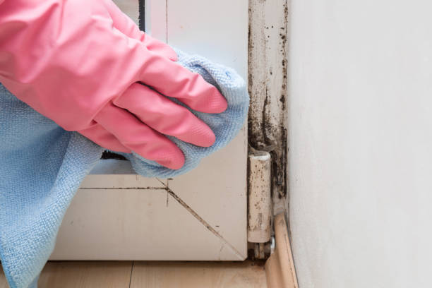 Best Mold Testing  in Greenland, AR